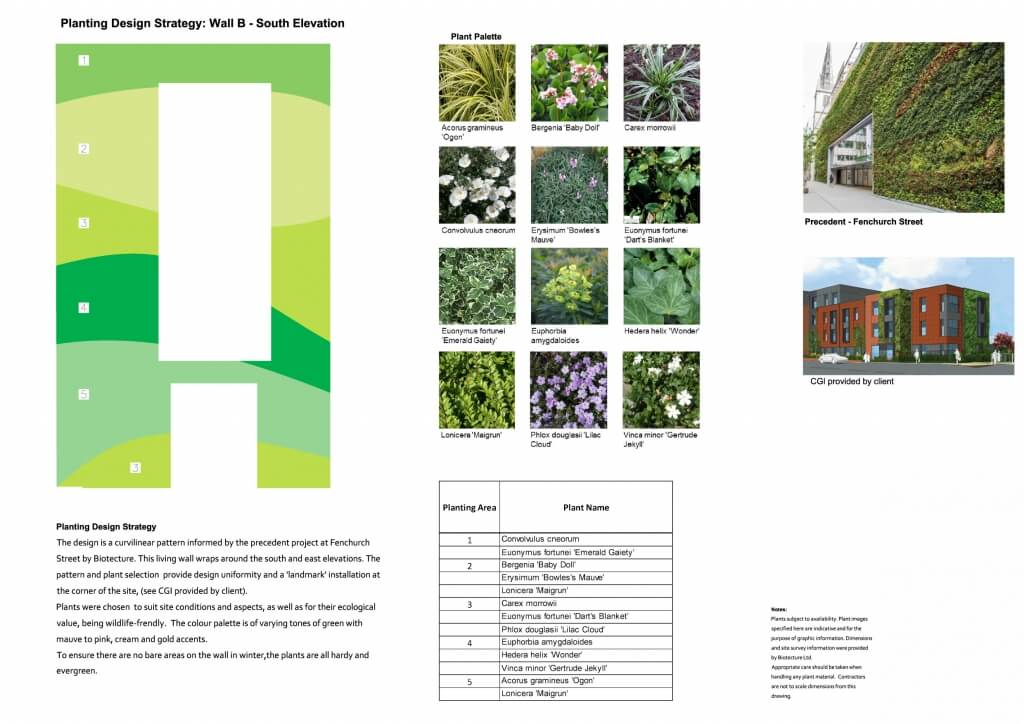 Example of Living Wall Planting Plan which is part of the Living Wall Construction Design