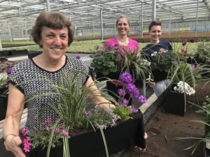 NHS vertical garden planting volunteers