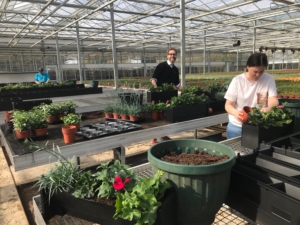 nhs living wall planting