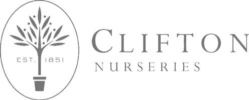 Clifton Nurseries logo