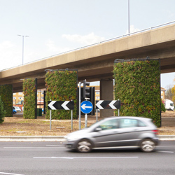 roundabout living green wall, Southampton