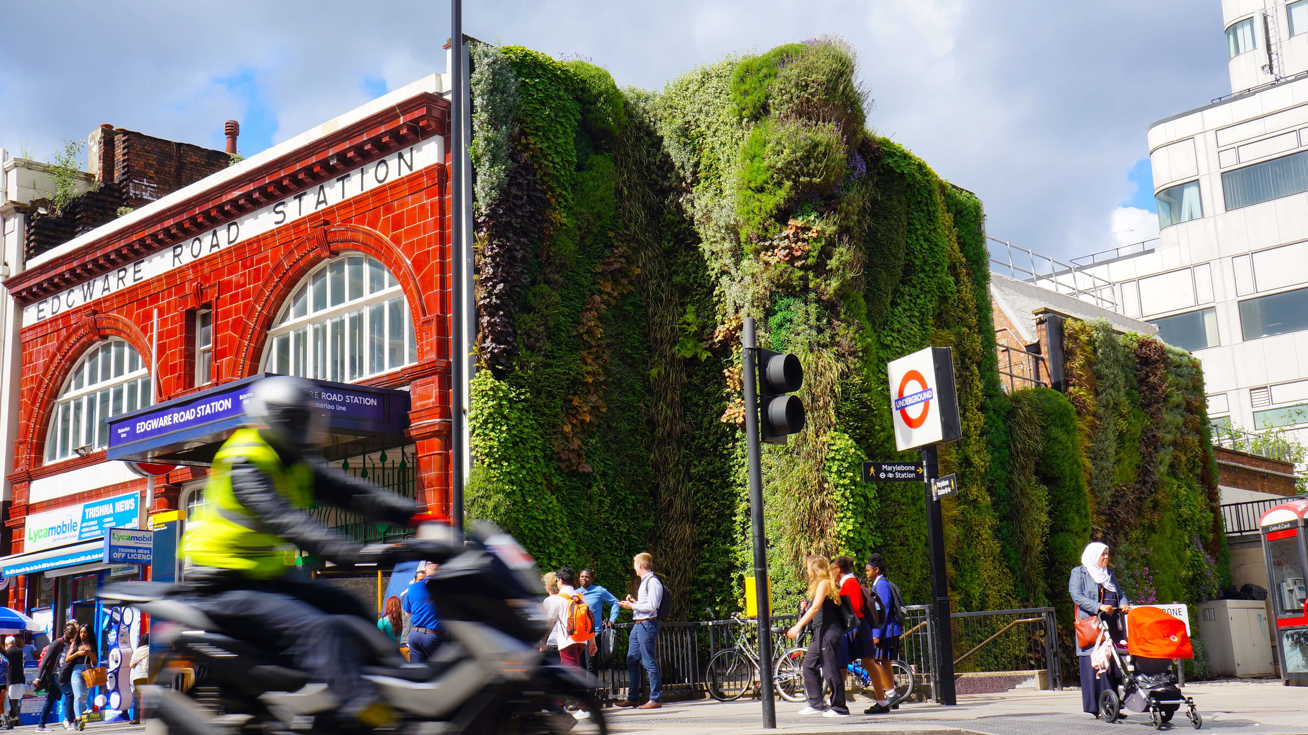 Living wall at Edware Road Tube Station