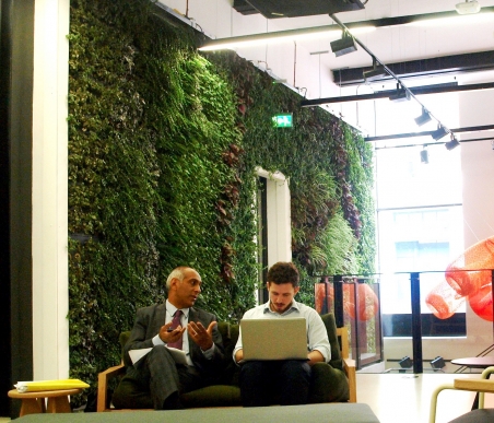 Living Walls in the Office