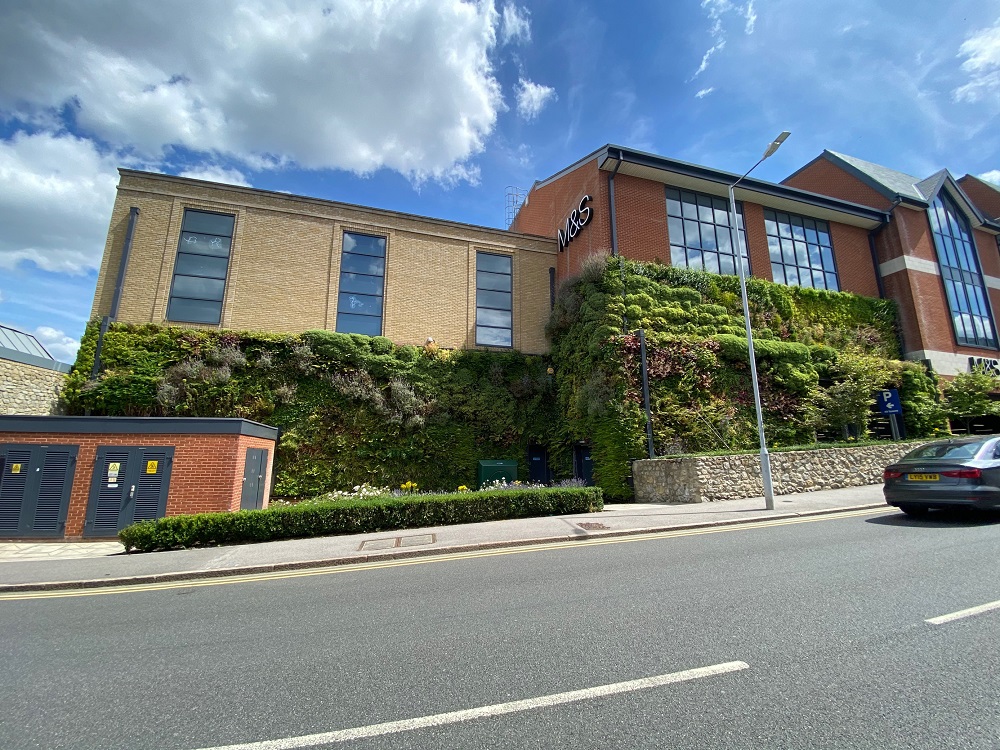 Retail Living Wall Biotecture