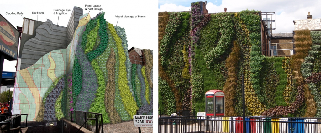 Biotecture Living Wall Edgware Road Tube Station 10 Year Anniversary