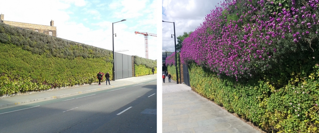 Biotecture Living Wall Kings Cross 10 Year Anniversary