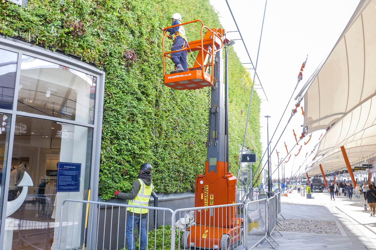 Biotecture Living Walls, McArthurGlen Ashford Designer Outlet, Maintenance