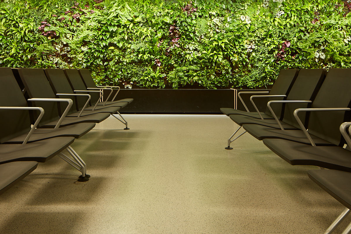 Heathrow Airport Debuts Living Wall To De-Stress Passengers