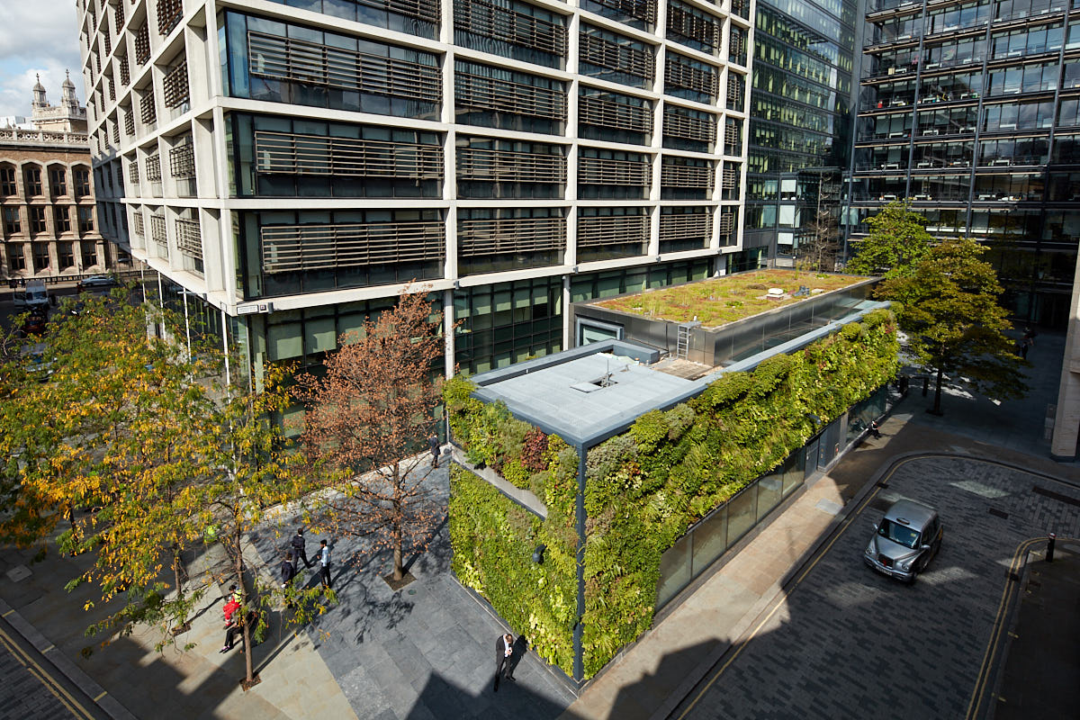 Urban Greening and Biodiversity in action bringing nature into the heart of London