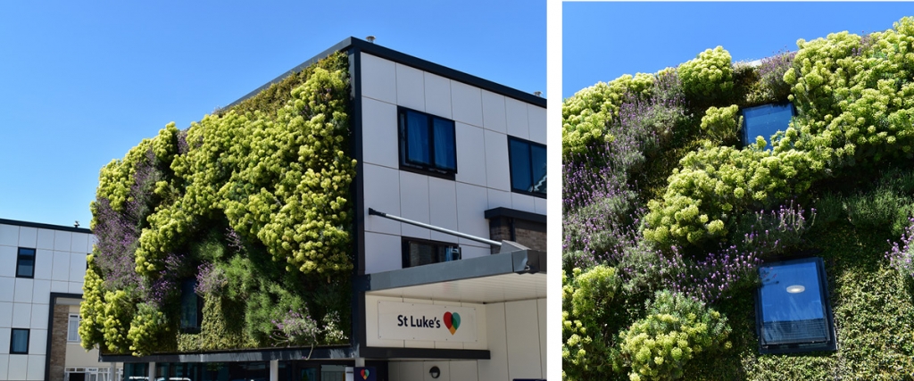 Biotecture Plants at Work Gold Leaf Awards St Luke's Hospital 