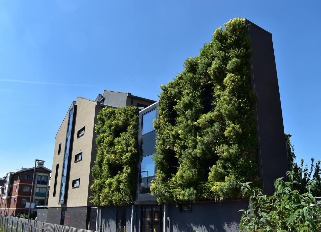 Biotecture living wall at Castle Mill student accommodation in Oxford