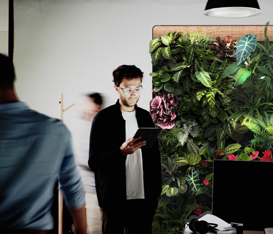Flourish Office living walls