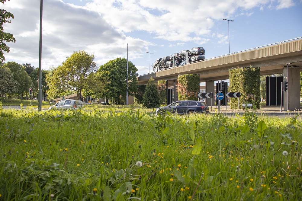 Biotecture living wall millbrook roundabout southampton