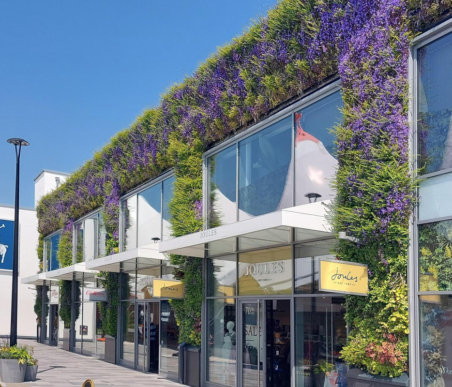 seasonal flowering plants at the McArthurGlen Ashford Designer Outlet