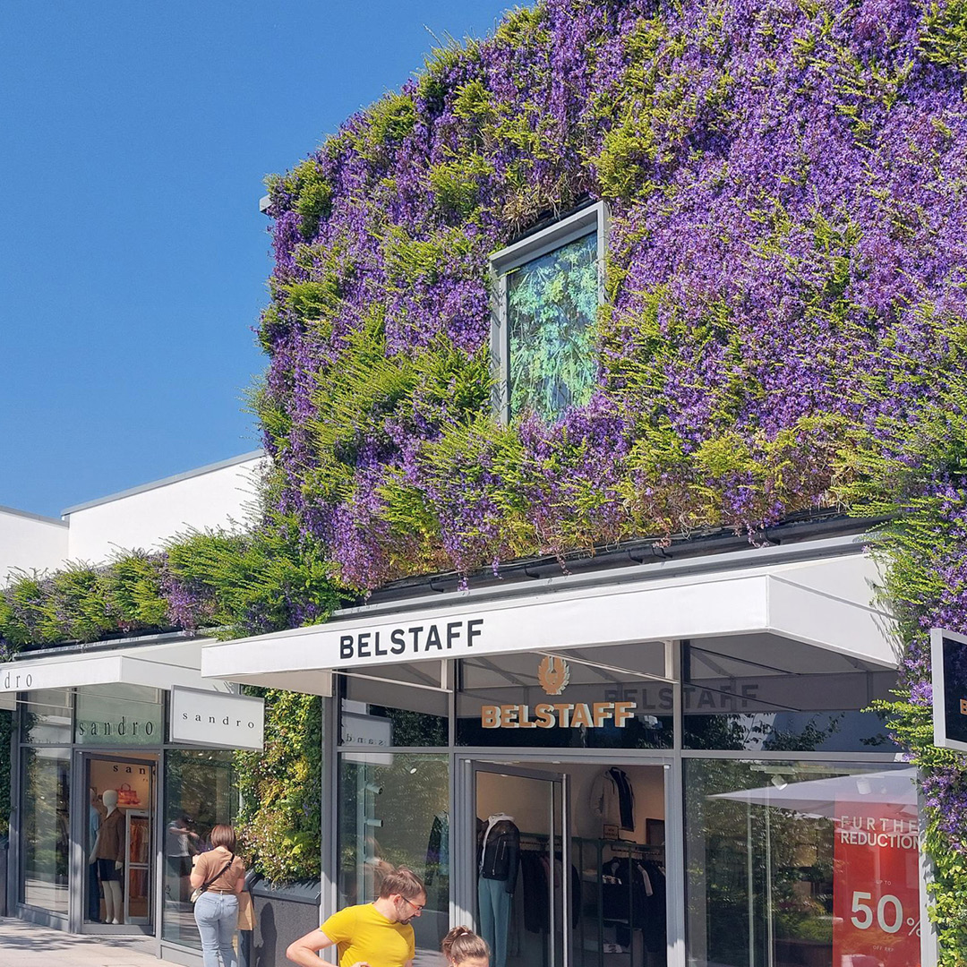 Flowering Plants Ashford Living Wall 