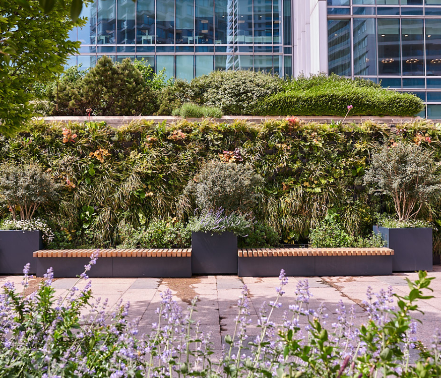 Biotecture living walls at Canary Wharf