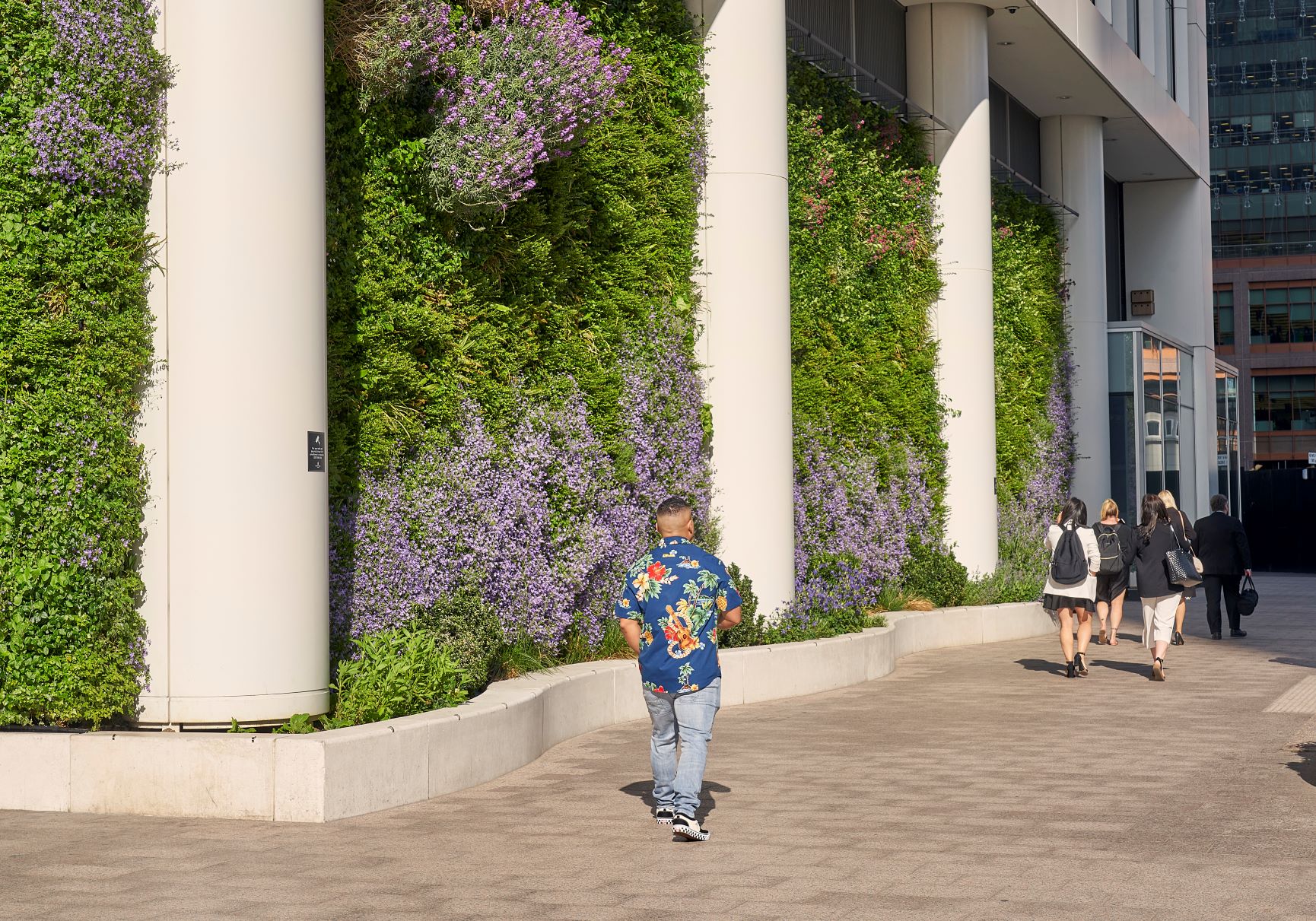 hydroponic green walls at Canary Wharf