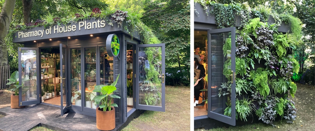 Pharmacy of House Plants Stand RHS Chelsea 2021 PlantBox 