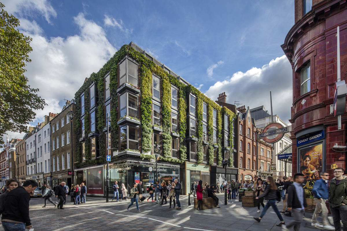 Biotecture Living Wall Covent Garden