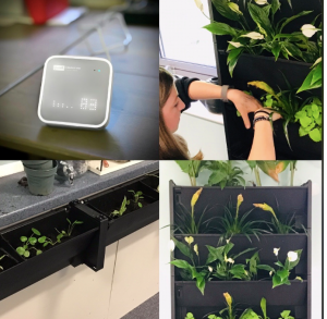 The PlantBox in use in the classroom