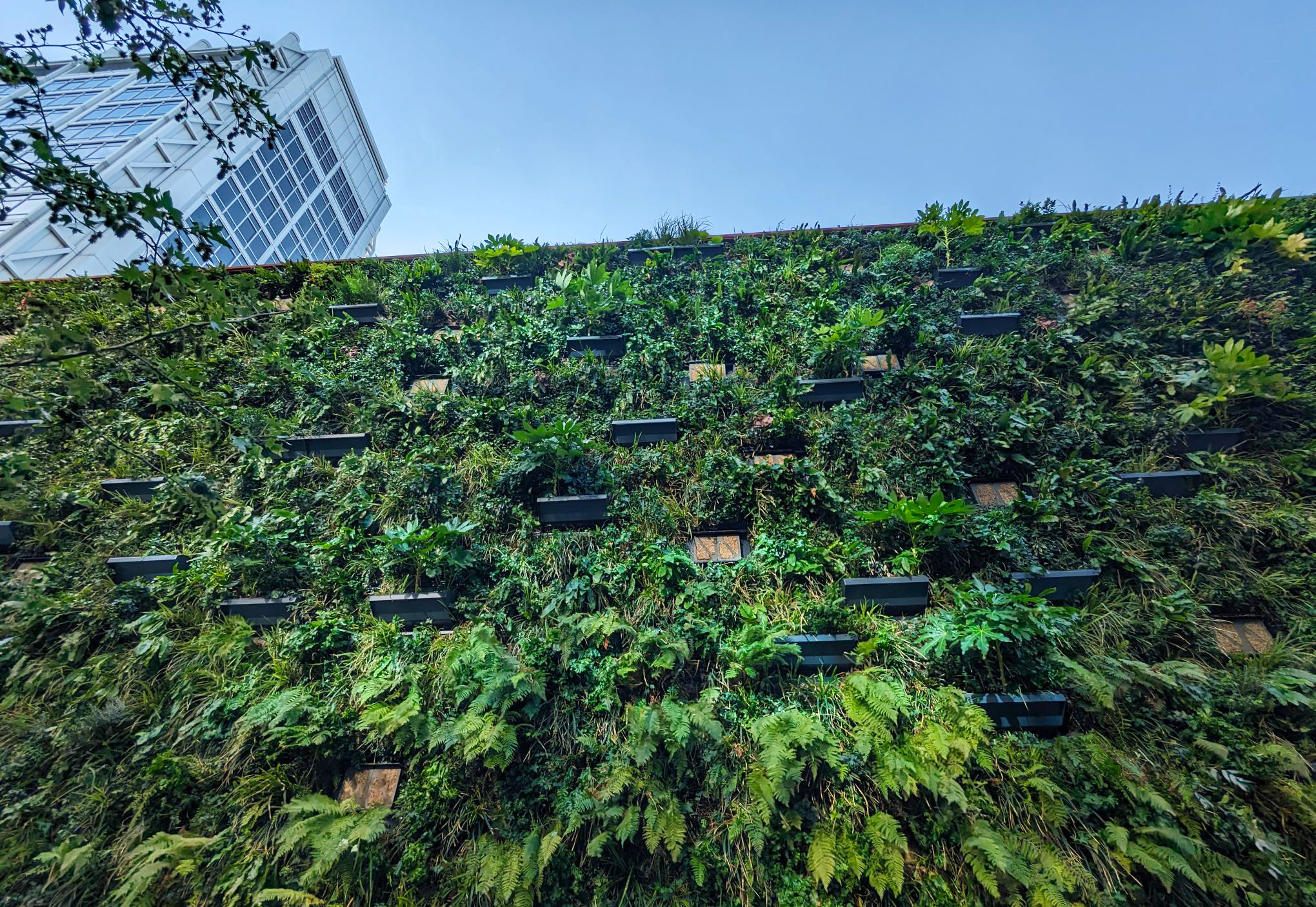 Living wall at Regent's Place London