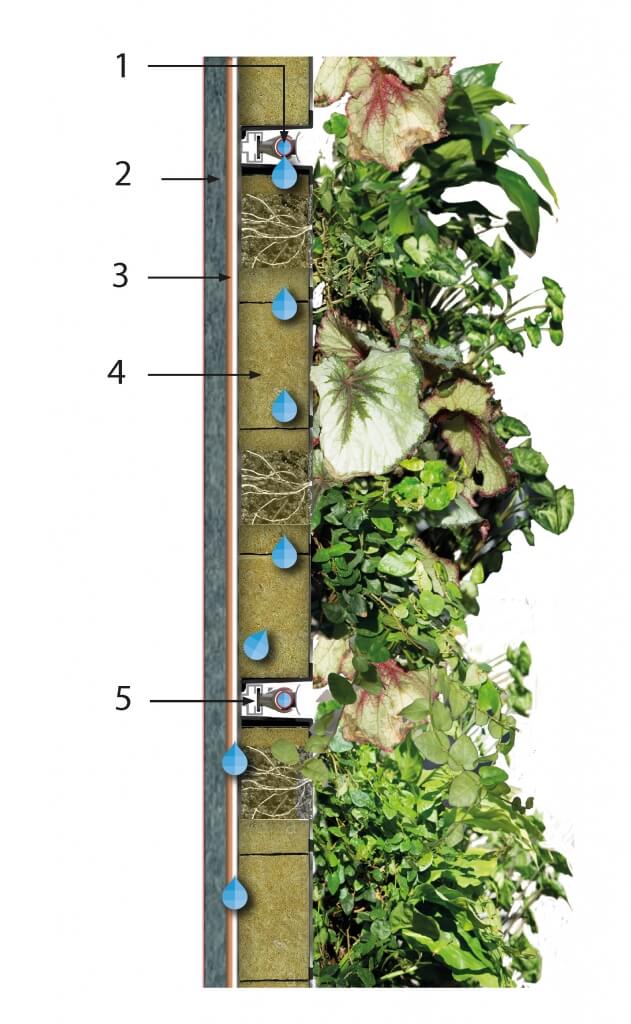 Biotecture Living Wall Specification in section view