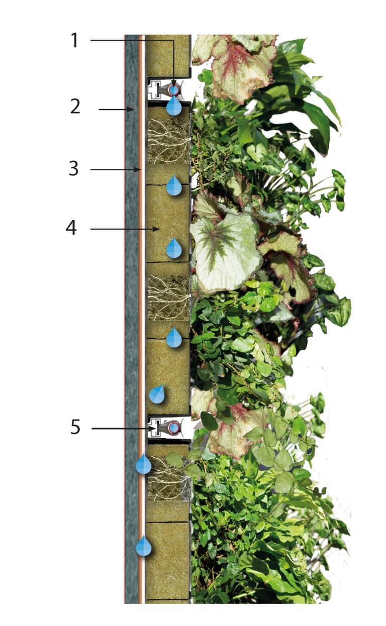 Green Wall Specification and Drawings - Biotecture