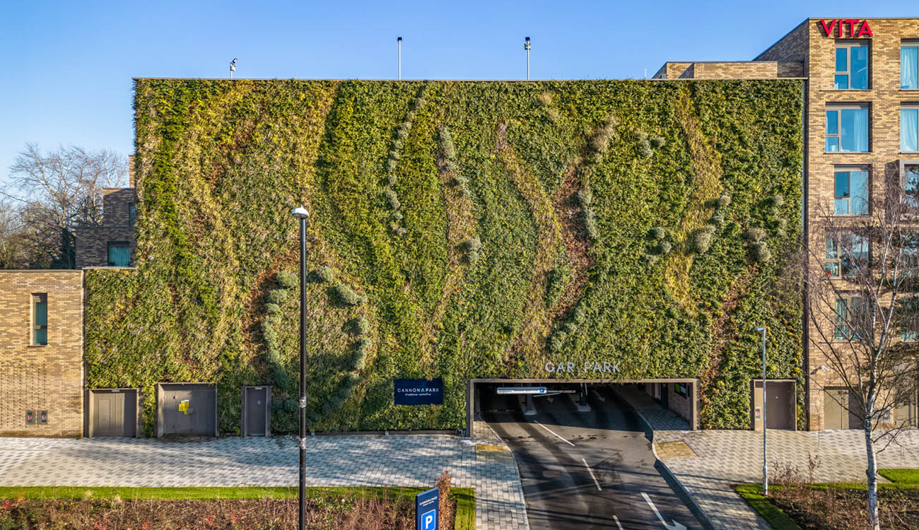 Car park living wall