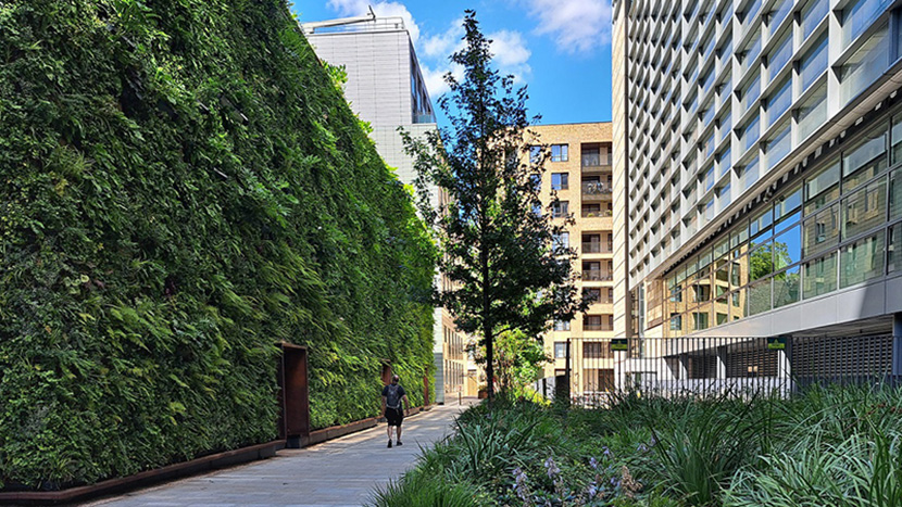 Regents Place Living Wall