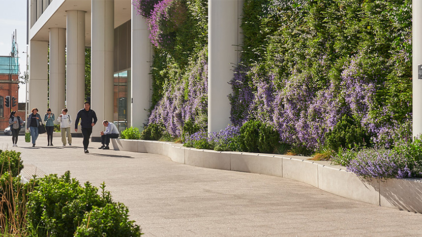 flowering living wall