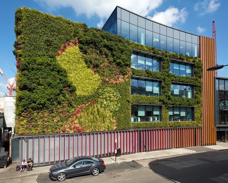 Camden living wall