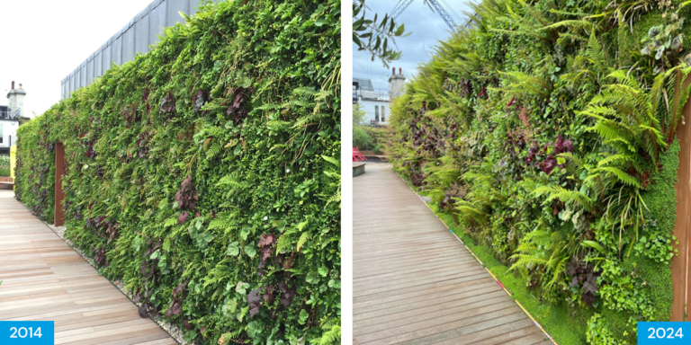 Coco-cola-living-wall