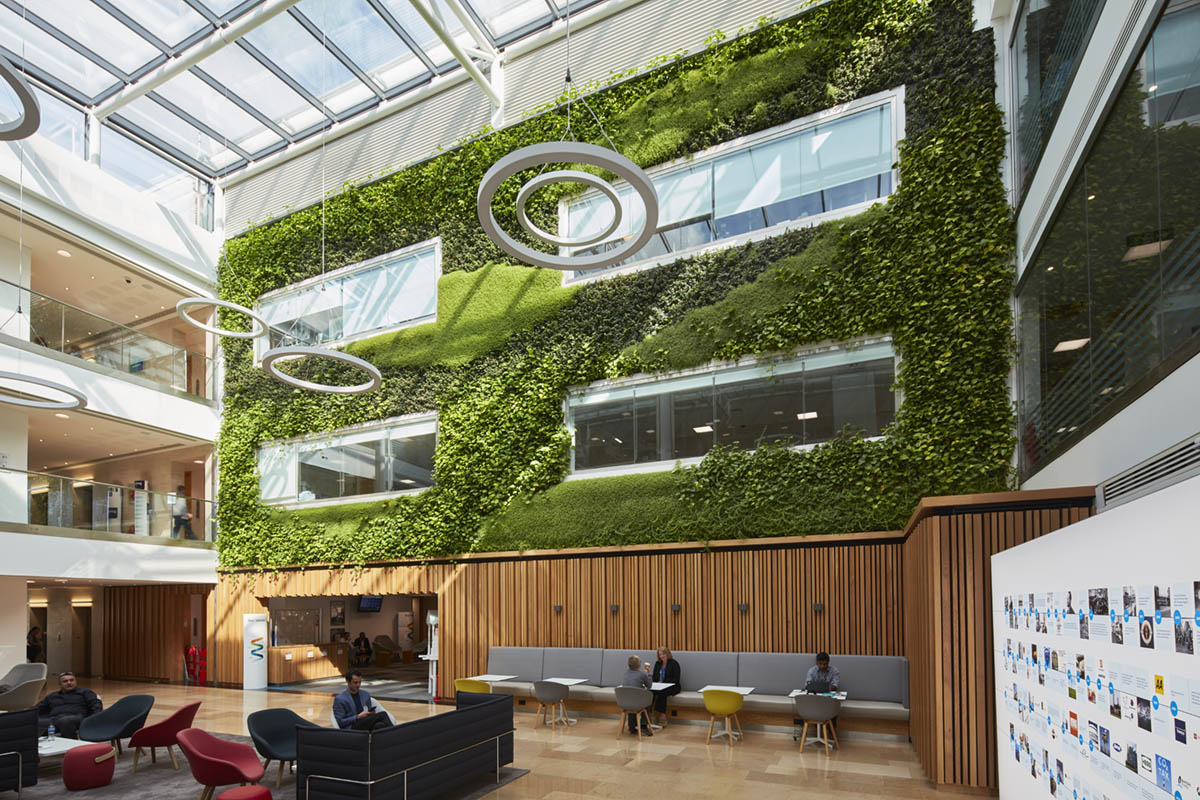 Office atrium green wall