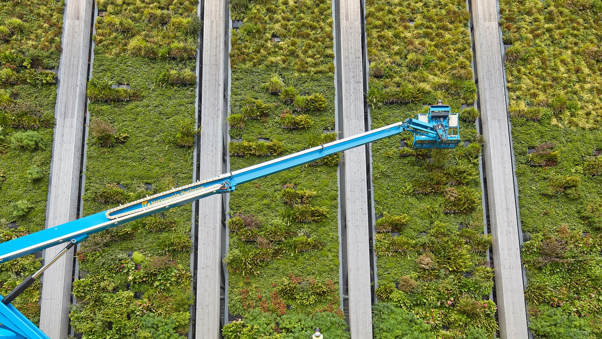 Living Wall maintenance