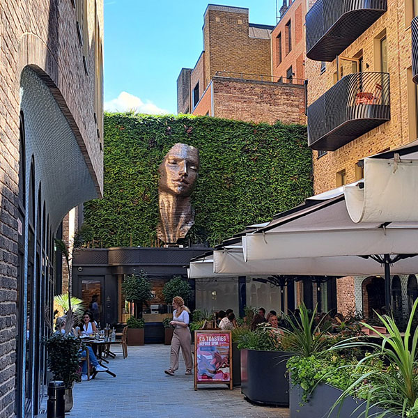 Courtyard green wall