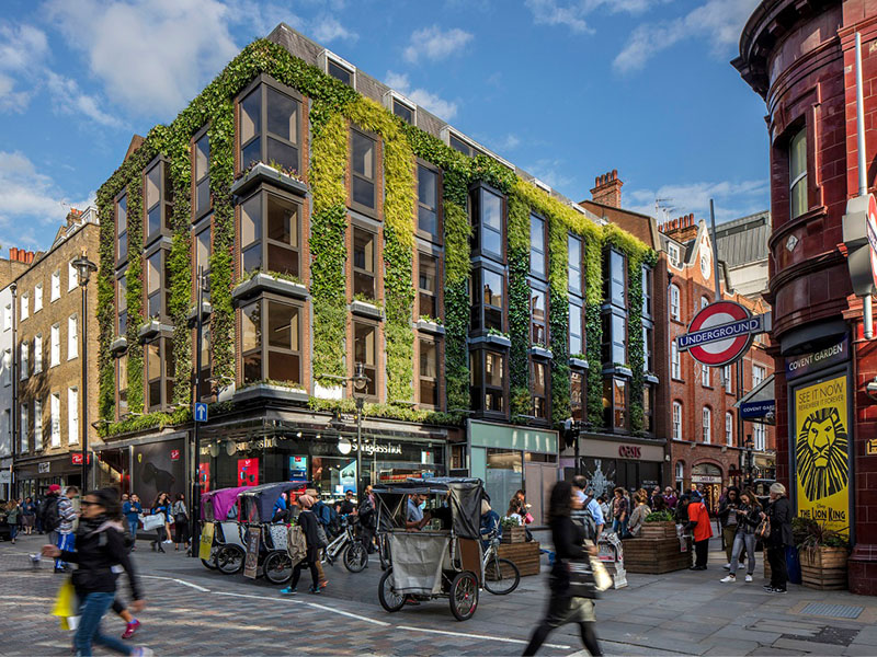 covent-garden-living-wall