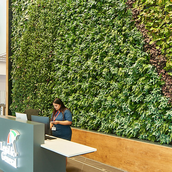 living wall in reception space