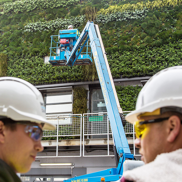 Green wall installation