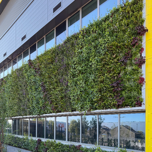 living wall planting design