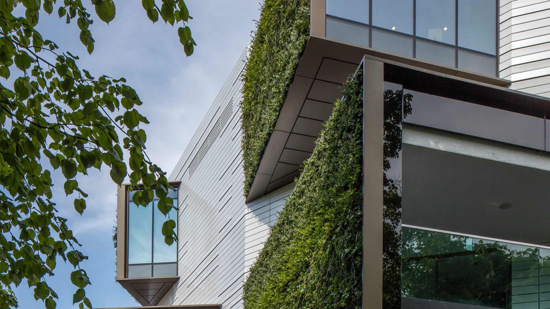 Lords cricket ground green wall