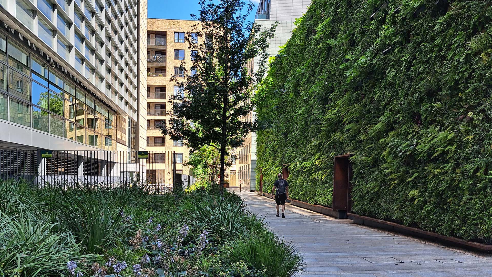 public realm living wall