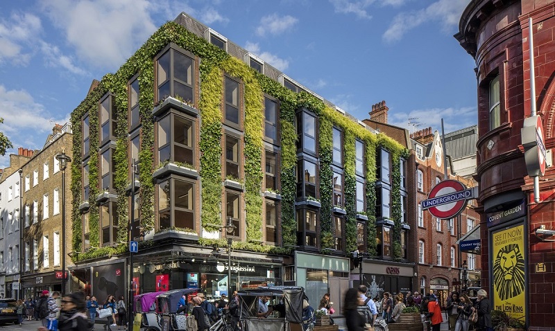 covent garden living wall