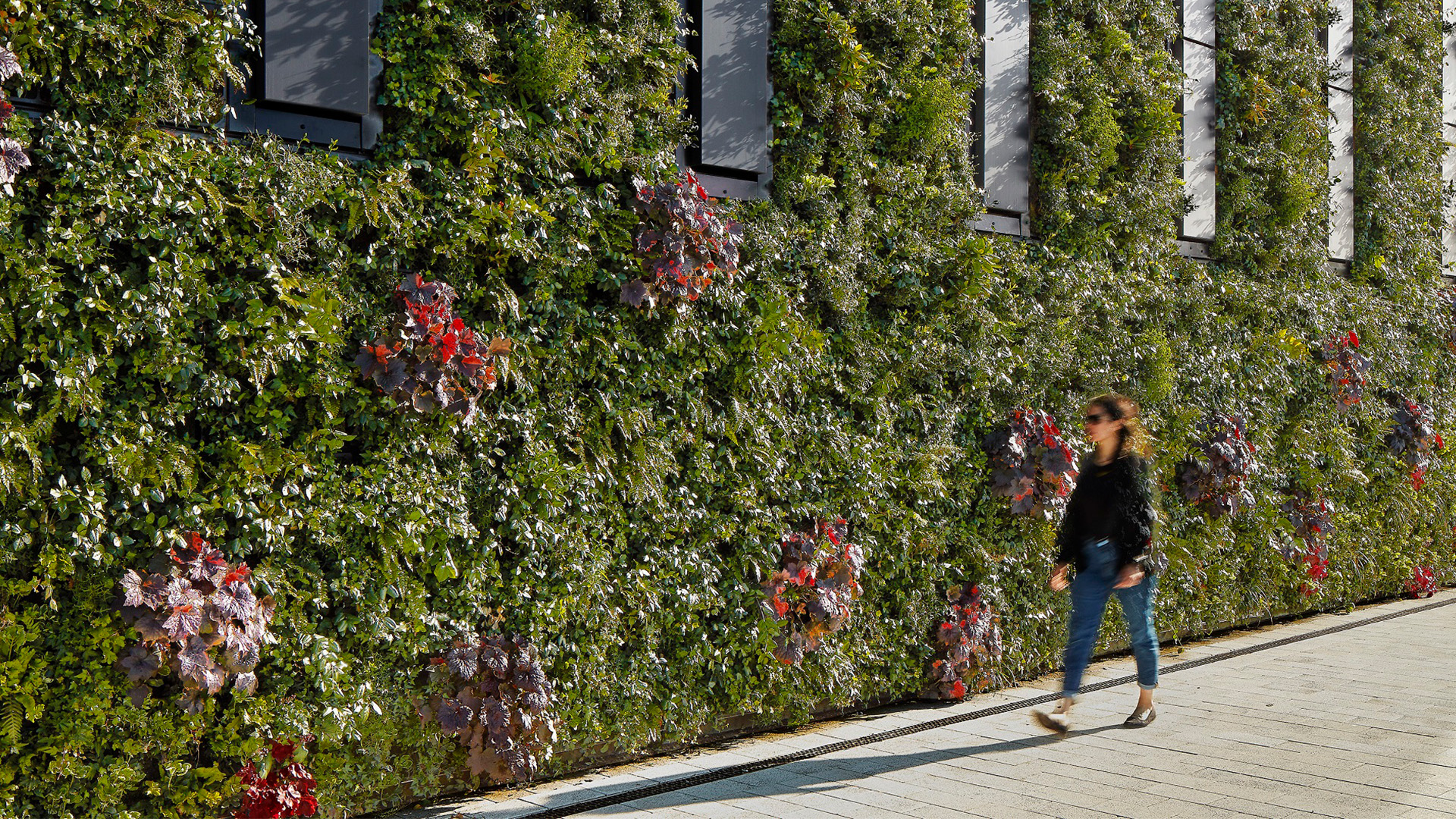 living wall benefits