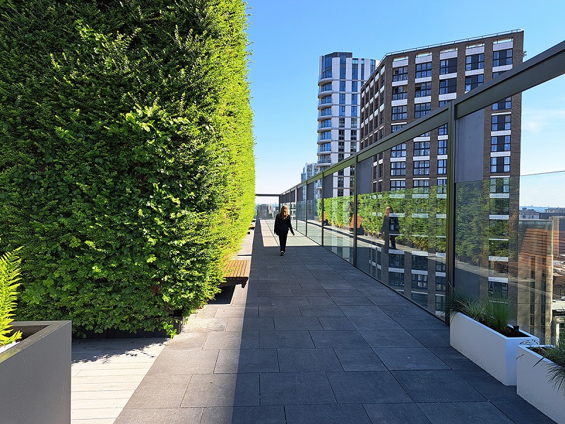 roof terrace living wall