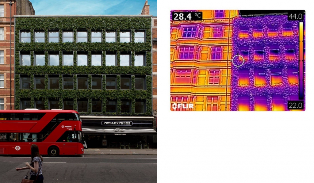 Living Wall thermal imaging