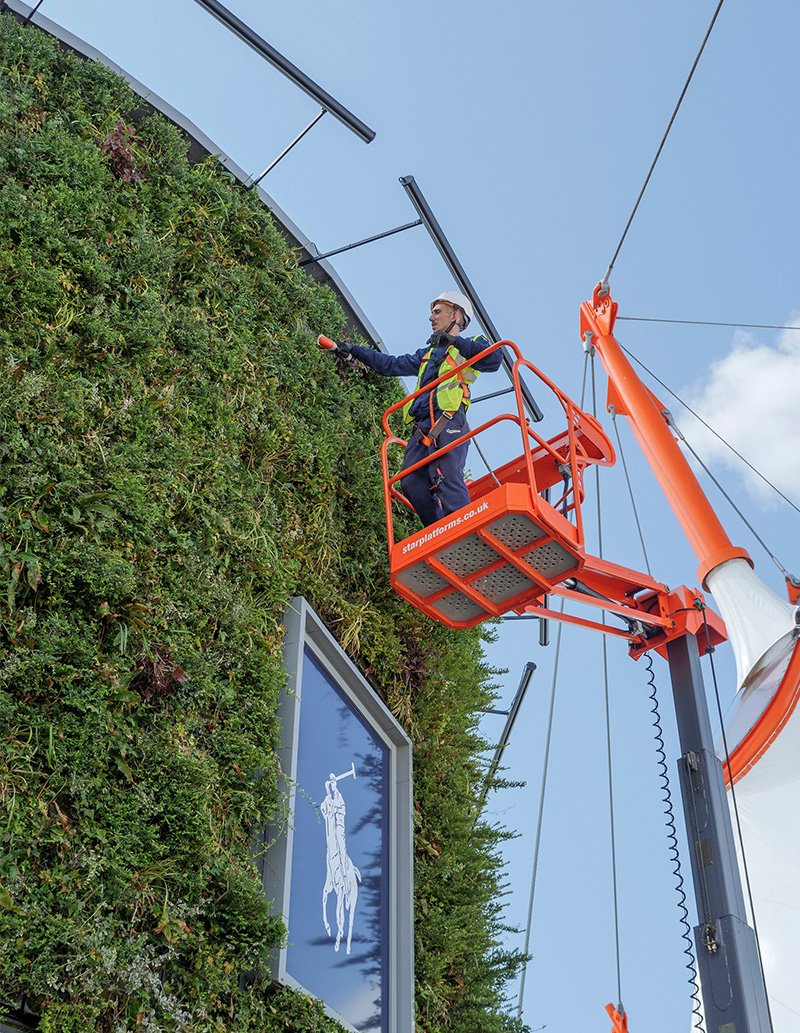 Living wall maintenance