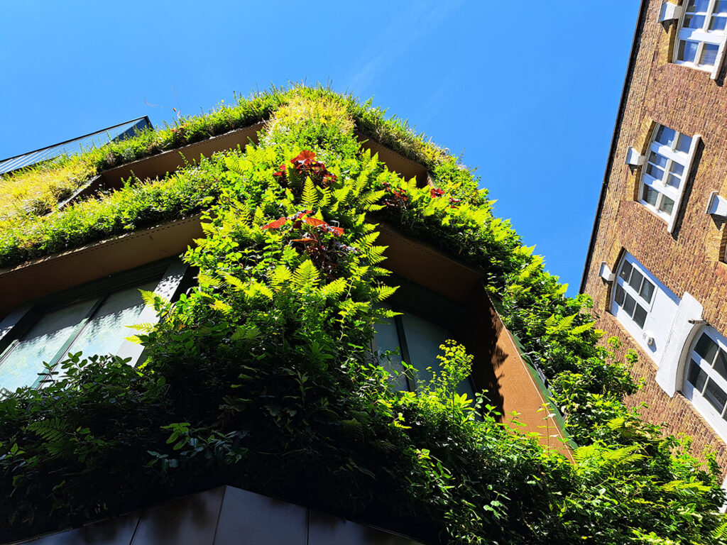 Floral Street living wall