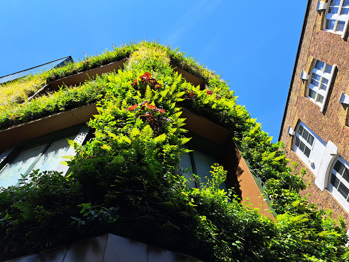 Floral Street living wall
