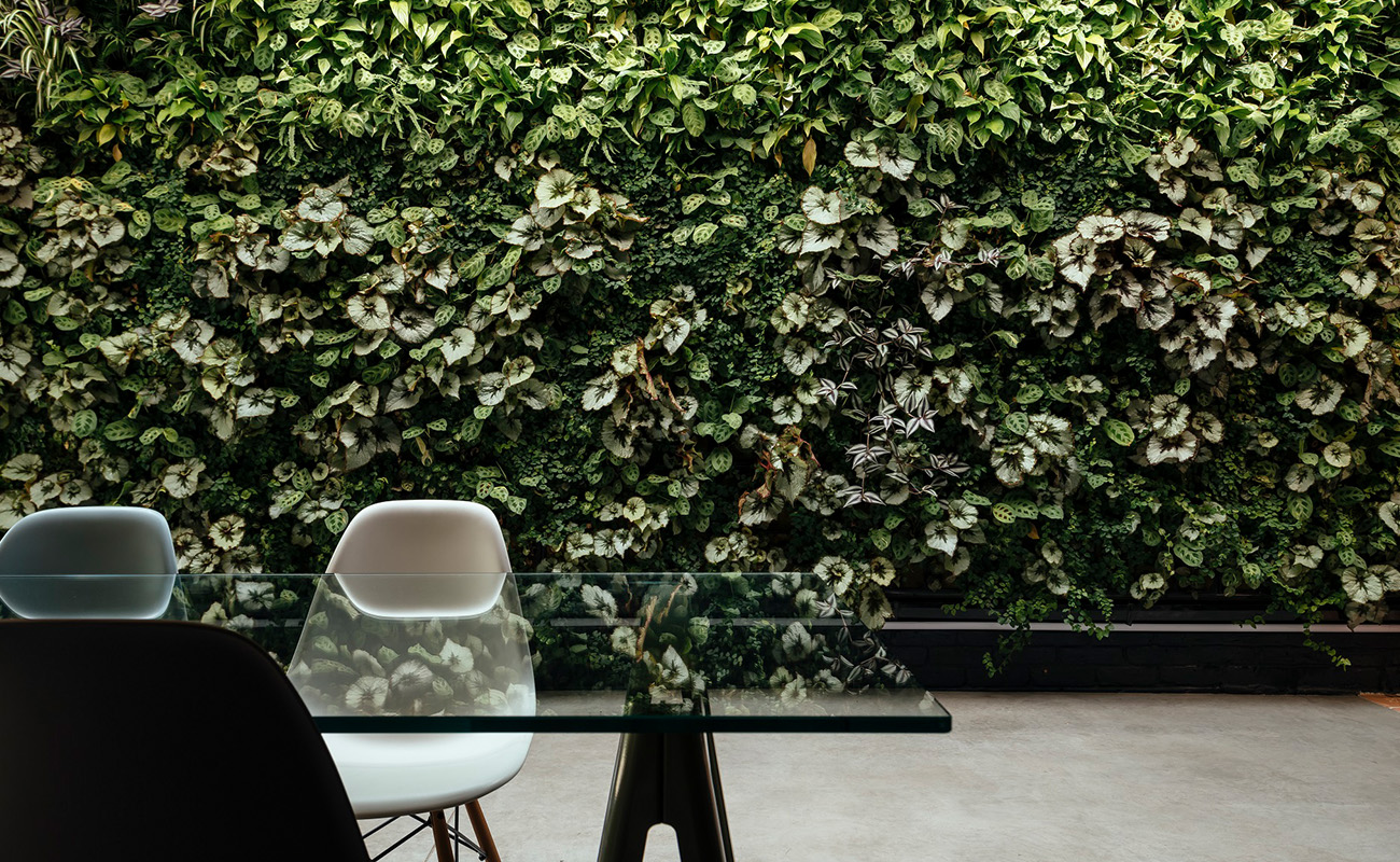 Internal living wall for private client