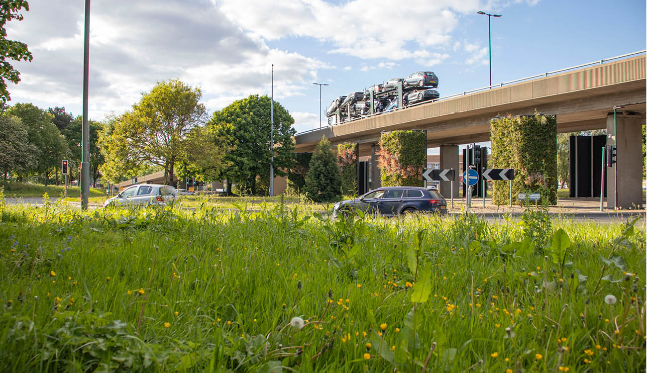 living walls on Millbrook flyover, Southampton